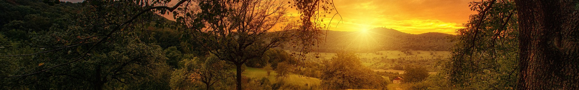 Banner KundaliniCoach Coaching